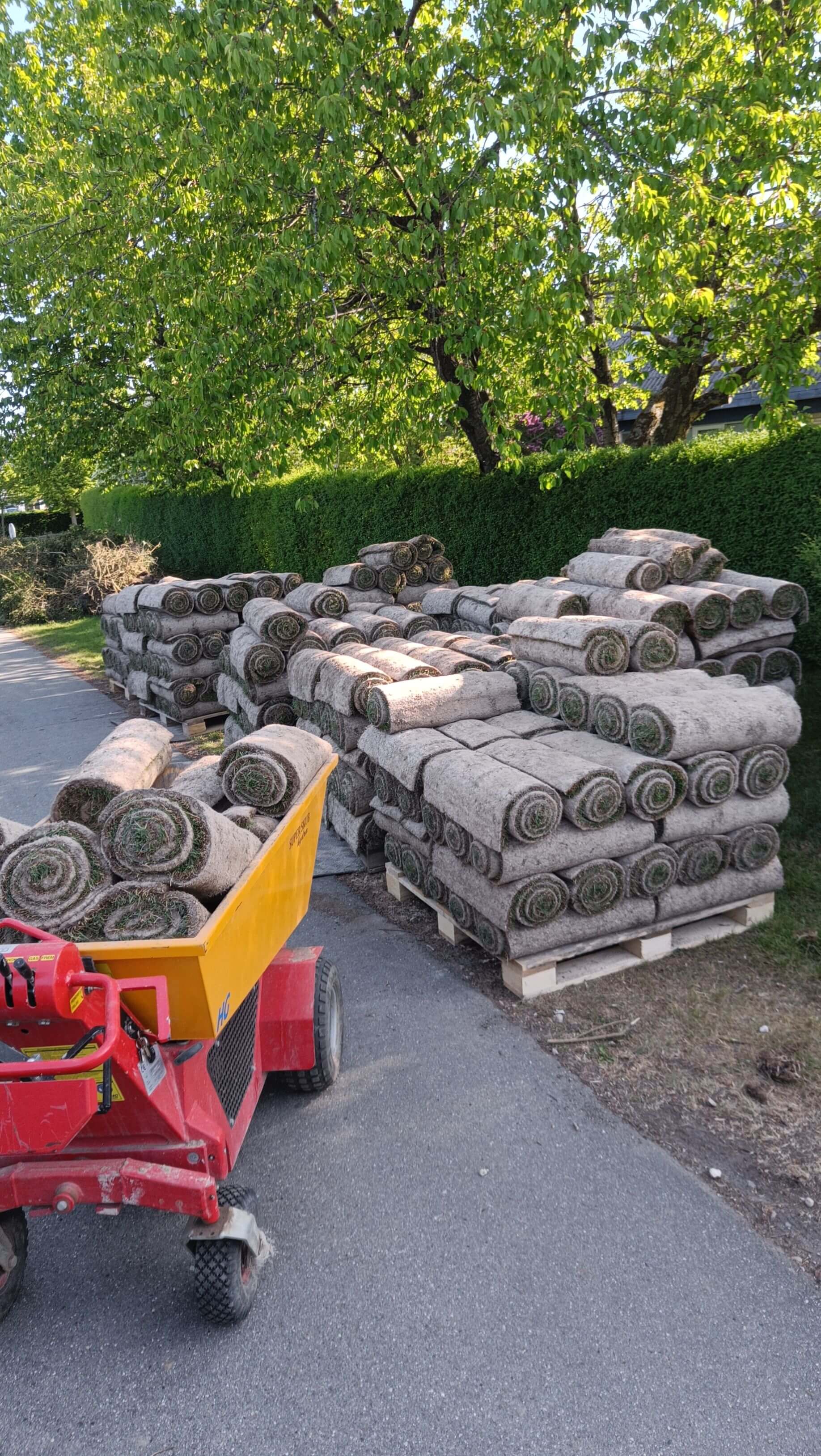 Tidligere opgave